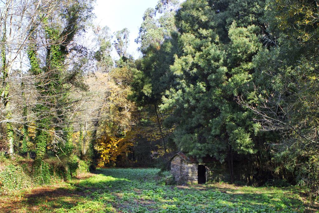 Gasthaus Quinta De Mouraes Casa Dos Rododendros Lever Exterior foto