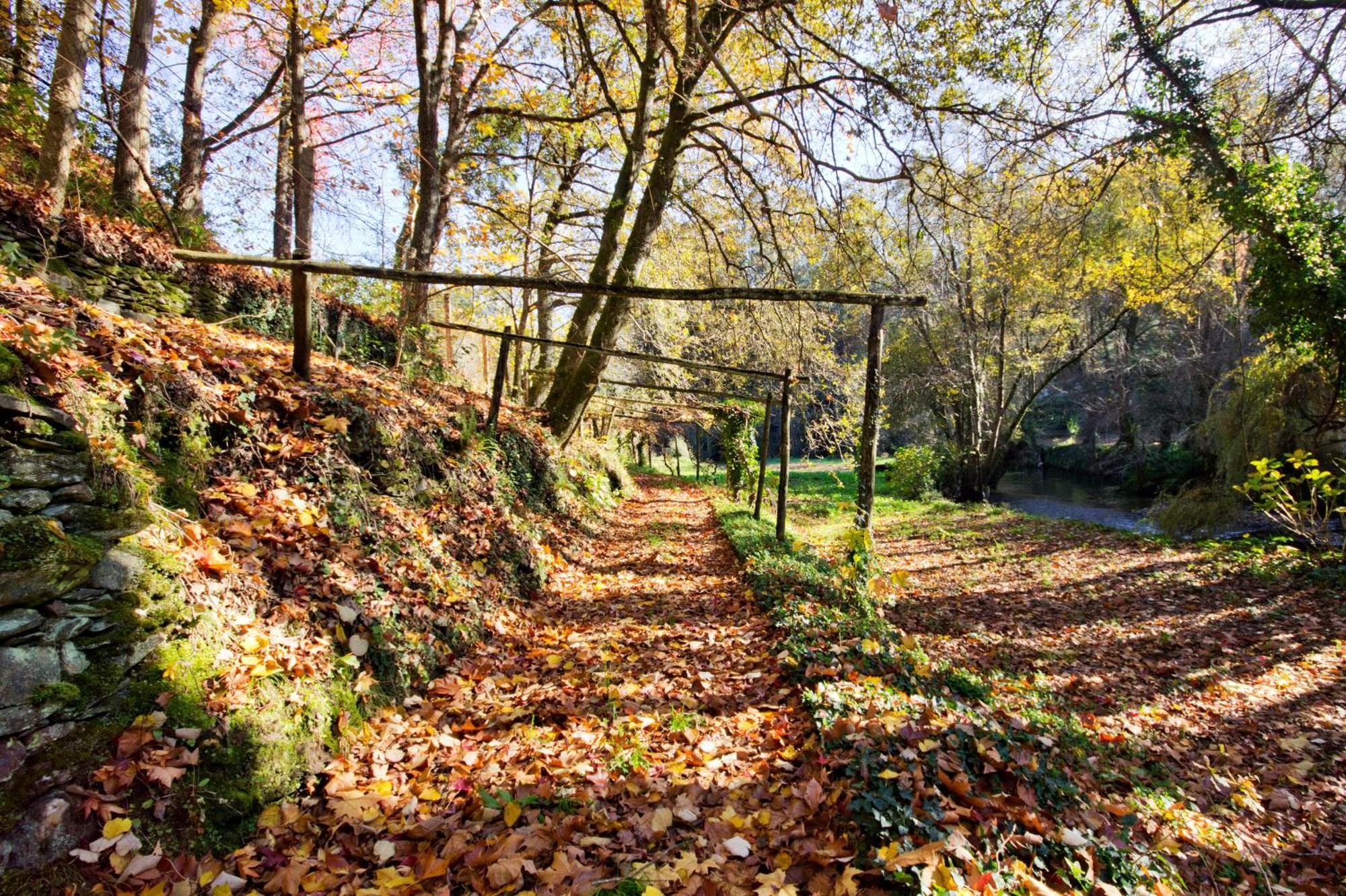 Gasthaus Quinta De Mouraes Casa Dos Rododendros Lever Exterior foto